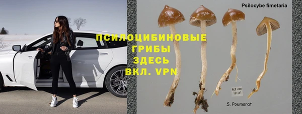 дмт Покачи