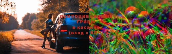 хмурый Покровск